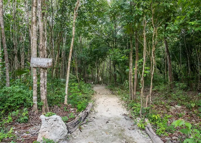 Camping Casa Costal - Glamping Experience Puerto Morelos